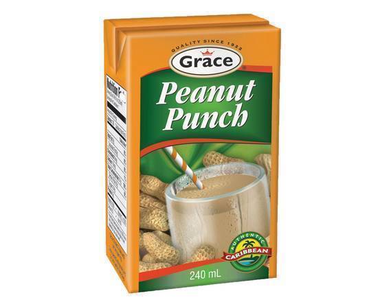 Peanut Punch