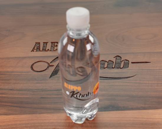 Water Bottle