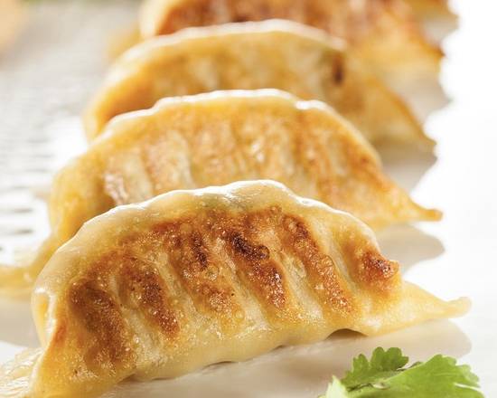 Vegetable Gyoza