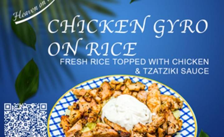 GYRO ON RICE
