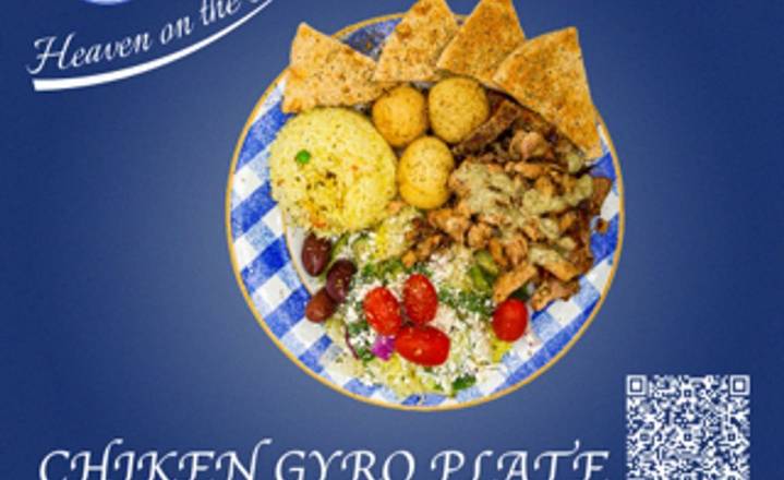 CHK GYRO PLATE