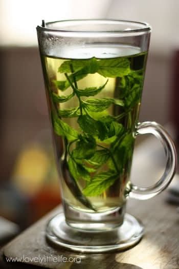 Mint tea