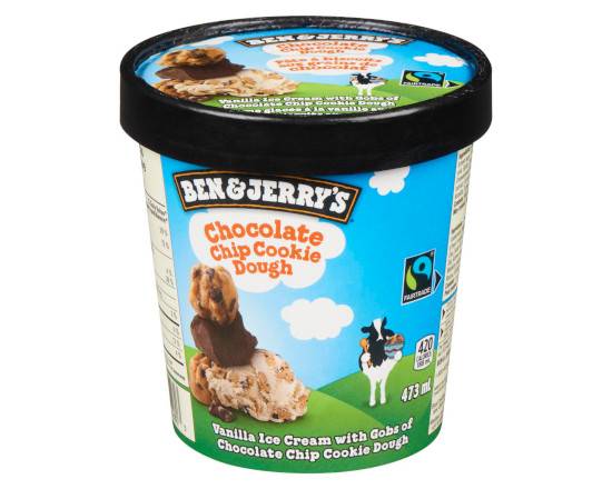 Ben and Jerry's Chocolate Chip Cookie Dough Ice Cream