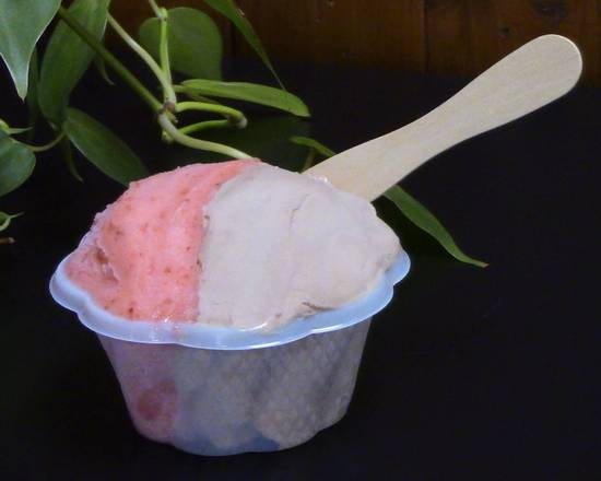 Gélato Nutella et Sorbet Fraise / Hazelnut Gelato and Strawbwrry Sorbet