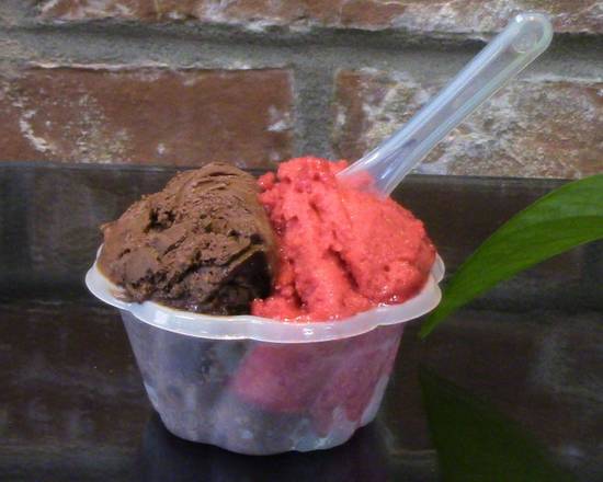 Gélato Chocolat Noir et Sorbet Framboise / Dark Chocolate Gelato and Raspberry Sorbet