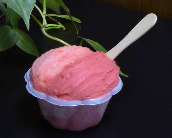 Sorbet Framboise et Fraise / Raspberry and Strawberry Sorbet