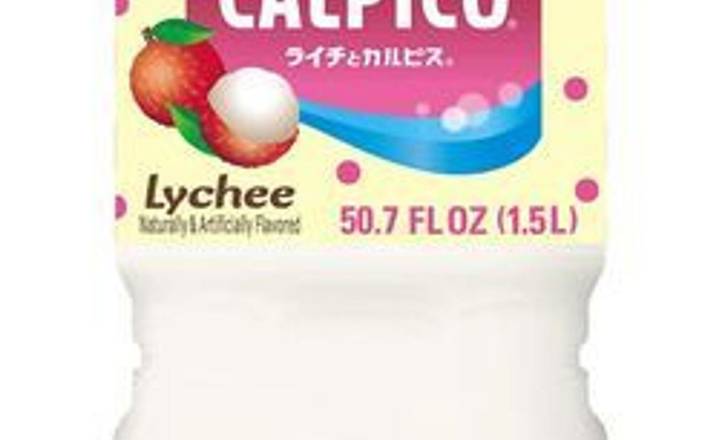 D. Calpico Bottle Lychee Flavored (500ml)
