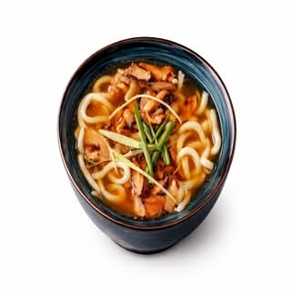 8. Chicken/Beef Udon