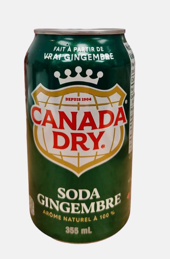 Ginger Ale 355ml