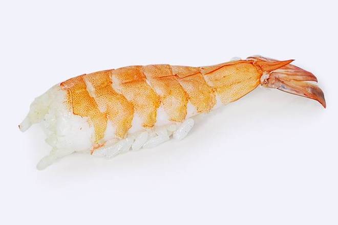 AC7 Shrimp