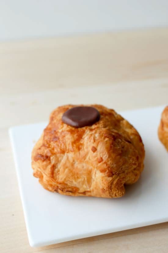 Bavarian Cream Bun