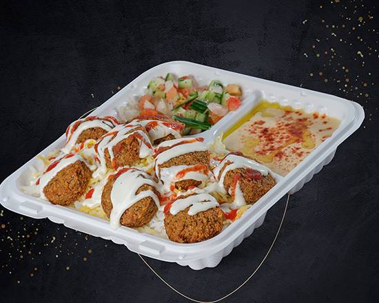 Falafel Plate