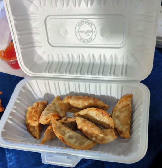 Raviolis Au Poulet Frit / Fried Chicken Dumplings