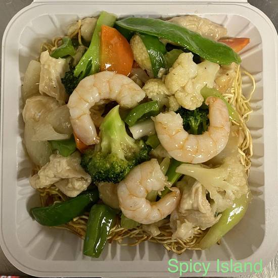H22. Cantonese Chow Mein (Vegetables, Chicken & Shrimp)
