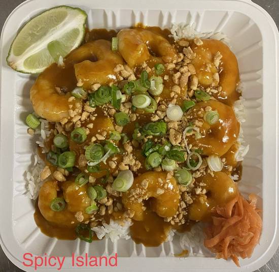 T8. Red Curry Shrimp/Chicken & Peanuts with Rice/Noodles