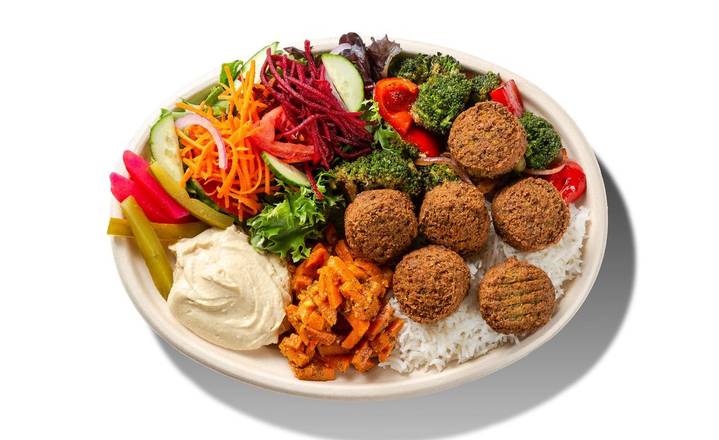 Falafel Plate
