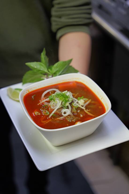 Beef Stew Noodles