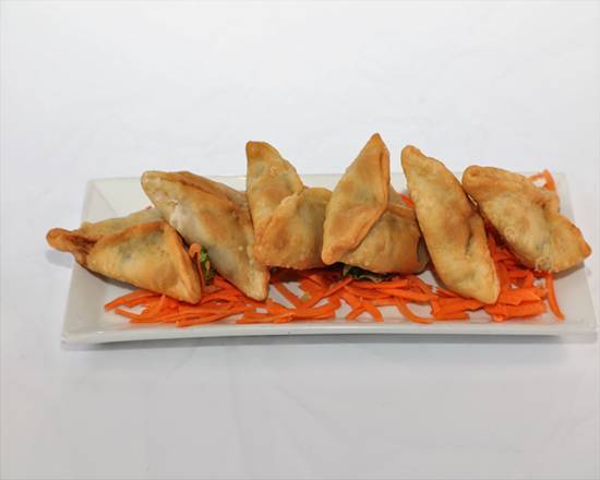 Beef Samosa