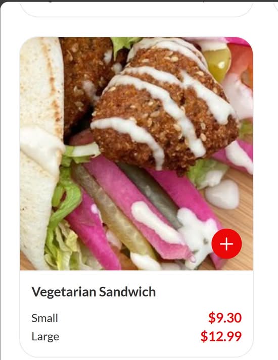 Vegetarian Wrap