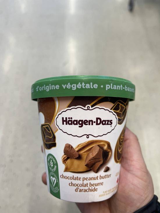 Chocolate Peanut Butter Ice Cream Pint