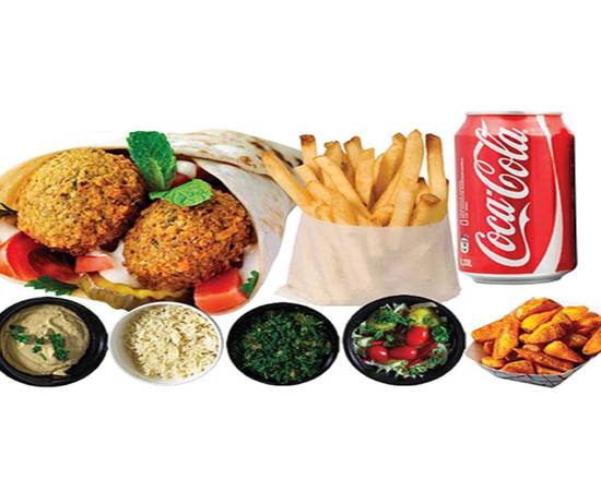 Falafel Sandwich Combo