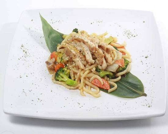 Pan Fried Chicken & Veg Udon