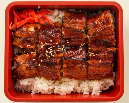 Unagi Don