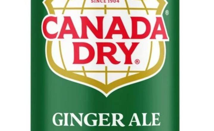 Ginger Ale (can)