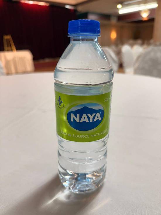 Water Bottle (500ml)