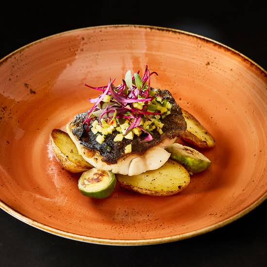 Black Cod