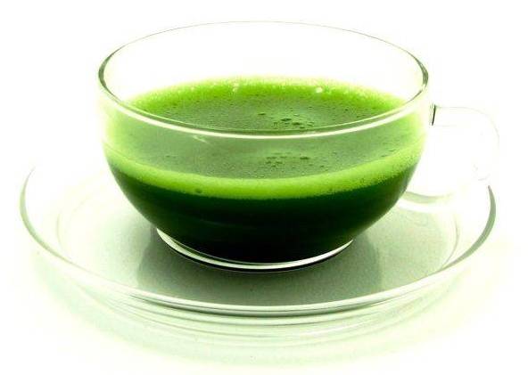 Matcha Tea (16 oz)
