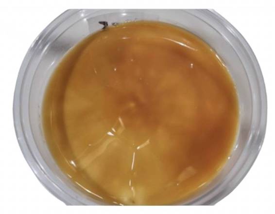 CARAMEL CHEESECAKE