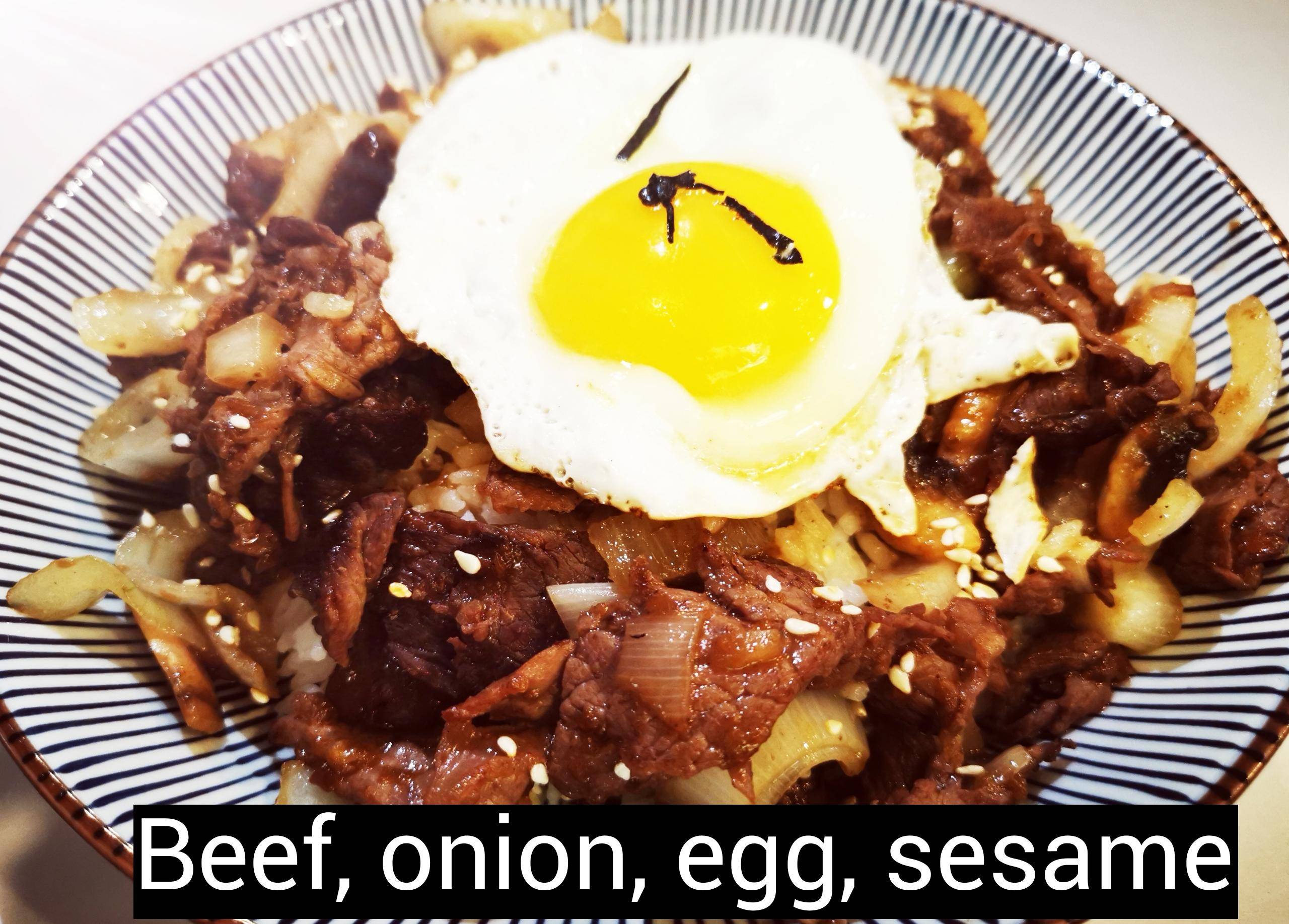Beef Rice Bowl