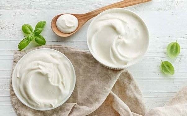 Plain Dahi