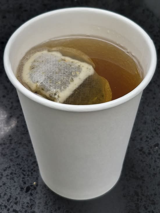 Green Tea (Hot)