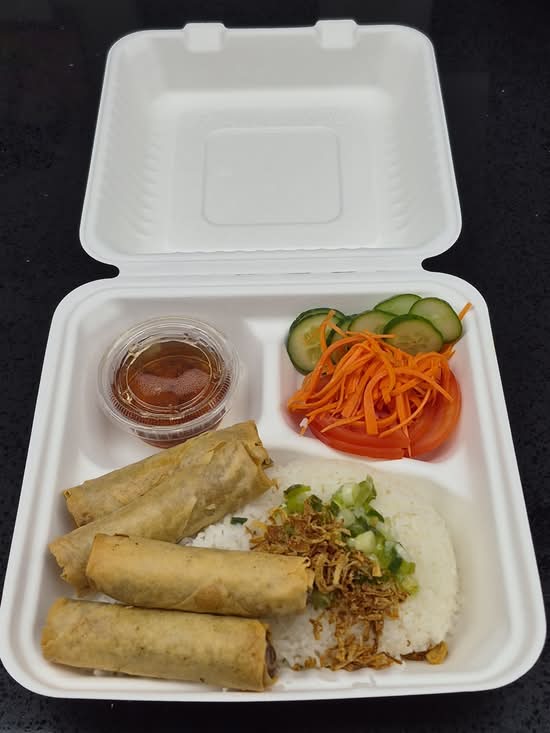 Spring Rolls Rice Plate