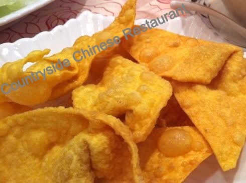 Deep Fried Wonton