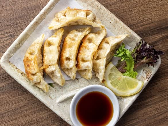 deep fried vegetable gyoza (5pcs)