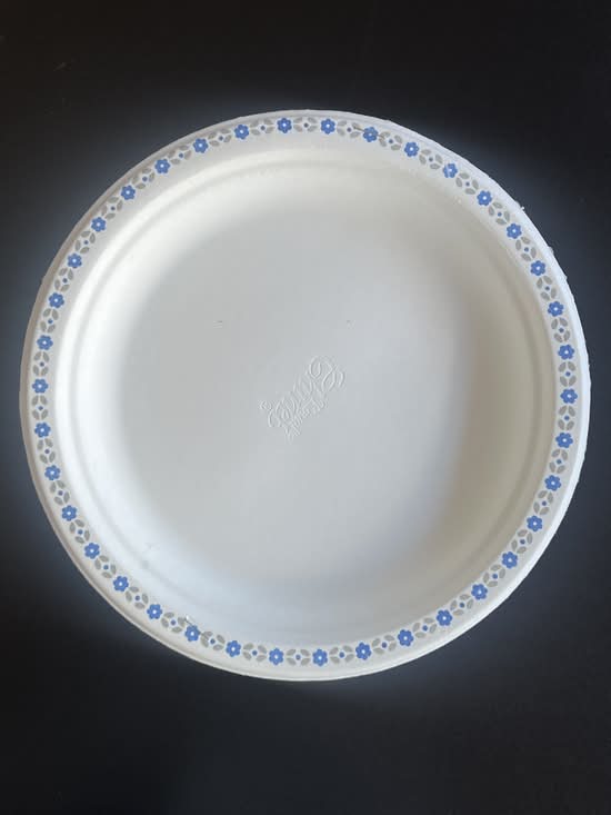 Large disposable plate (1pcs)