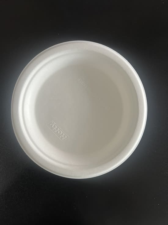Small disposable plate(1pcs)