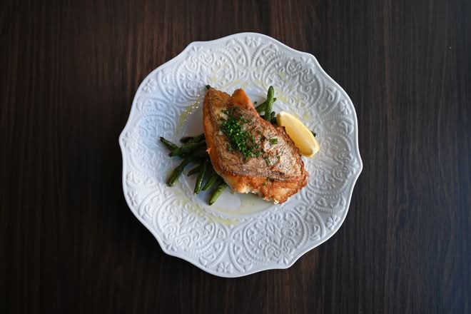 Red Snapper