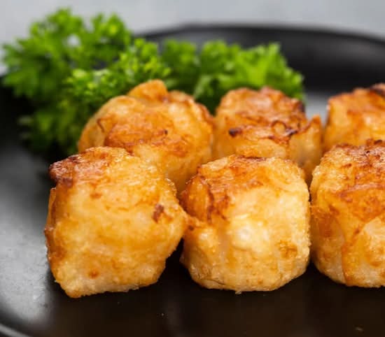 Fried Chicken Dumplings (Shumai)