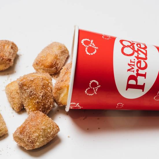 Sugar Cinnamon BITES