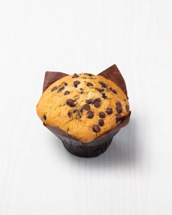 Chocolate Chip Muffin