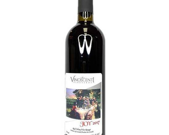 Joy 2017
