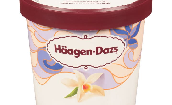 Haagen Dazs Vanilla Ice Cream 450ml