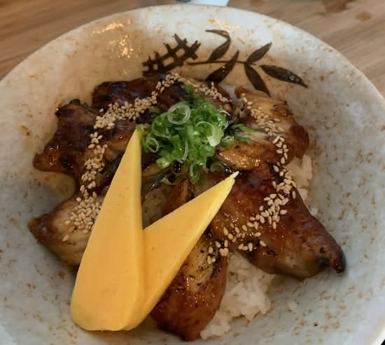 Unagi Don
