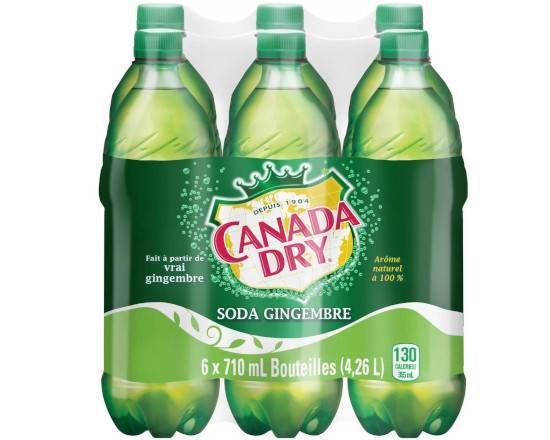 Ginger Ale Bottle (700 ml)