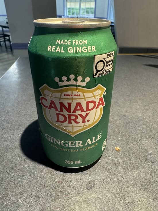LG Canned Ginger Ale (355 ml)