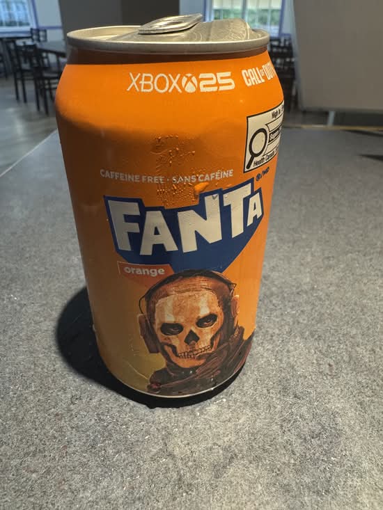 LG Canned Fanta Orange (355 ml)